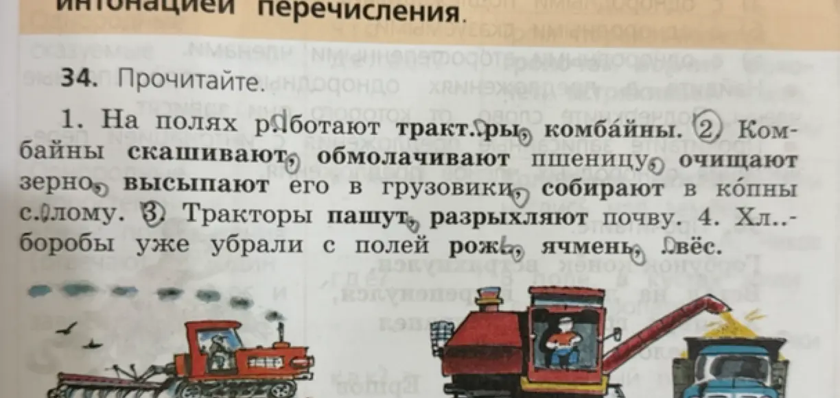 Назови культуры, которые убрали с полей в четвёртом предложении