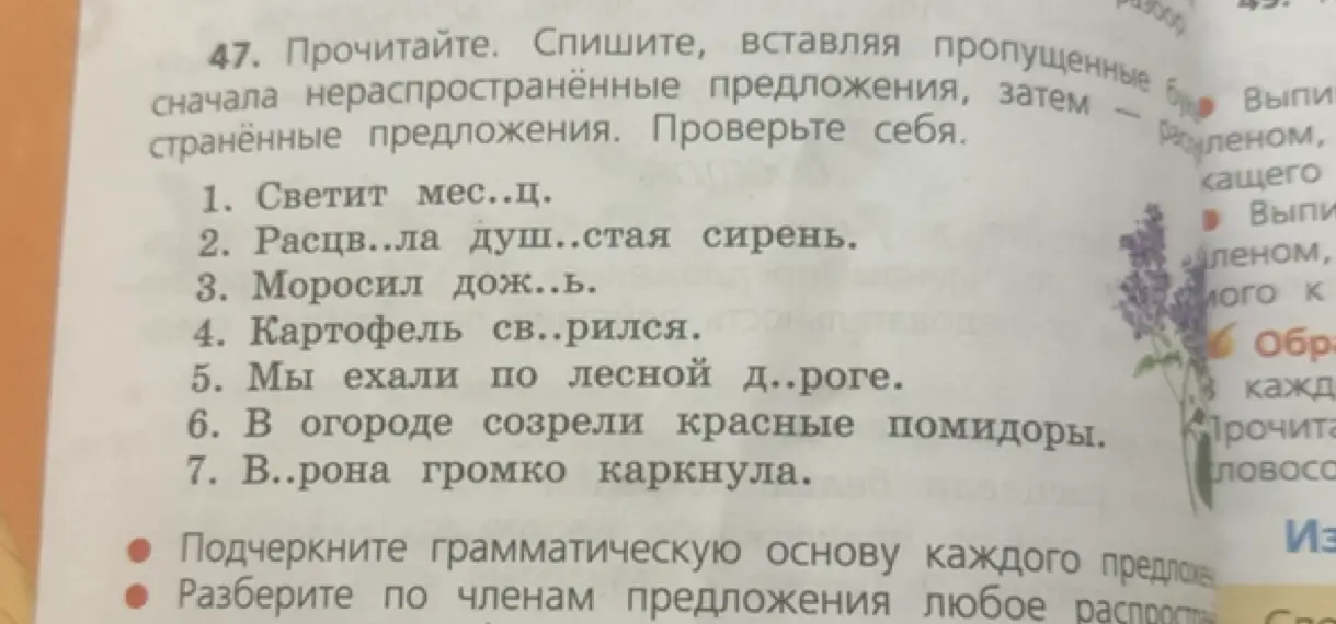 Ты просишь вставить пропущенные буквы, разделить предложения на распространенные и нераспространенные.