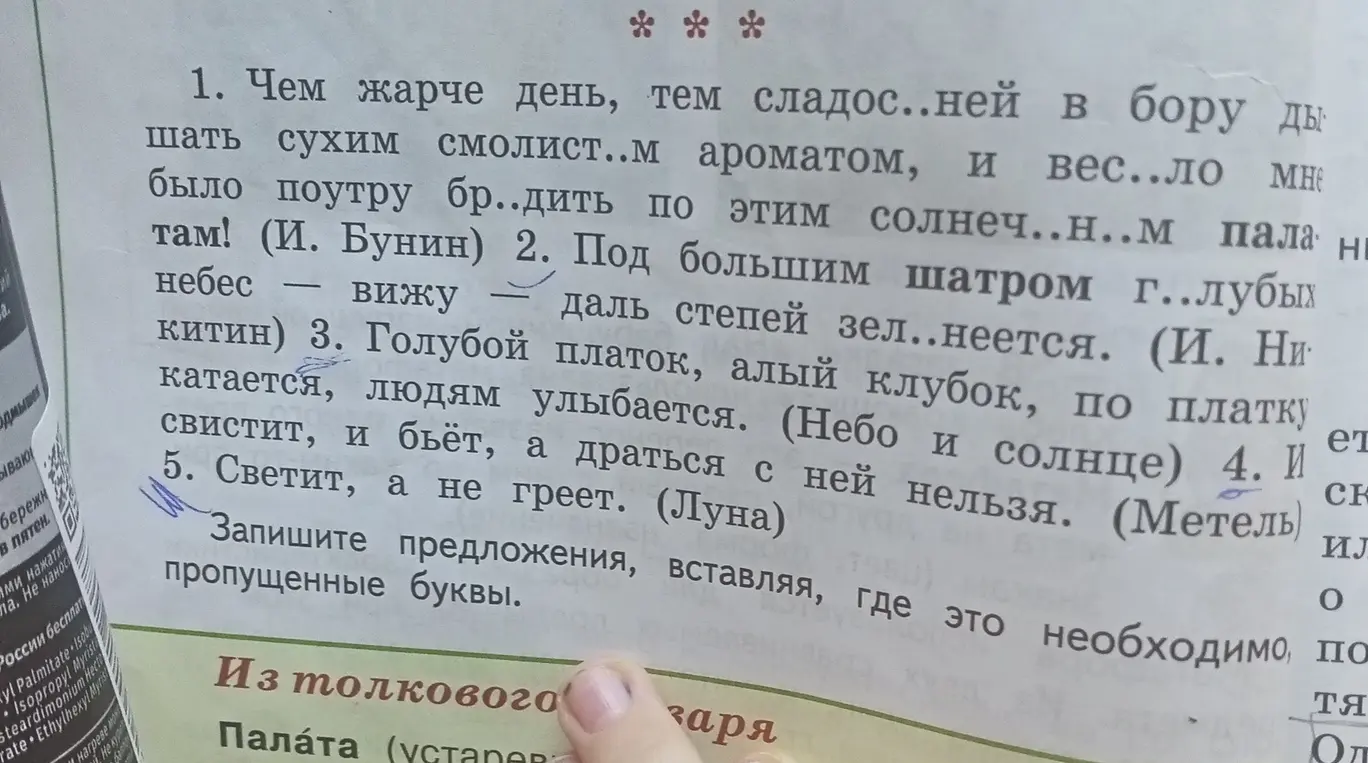 Запиши предложения, вставляя, где это необходимо, пропущенные буквы.