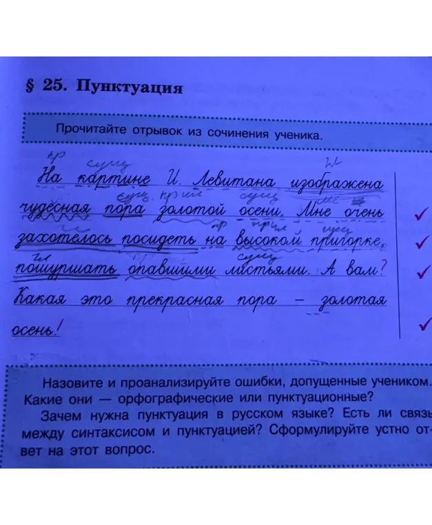 Назови и проанализируй ошибки, допущенные учеником в сочинении.