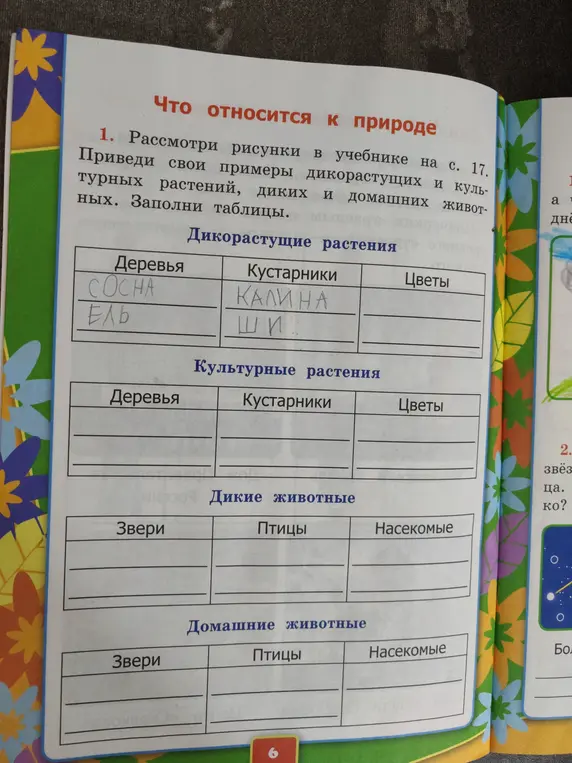 Составь таблицу, что относится к природе, приведи свои примеры дикорастущих и культурных растений, диких и домашних животных