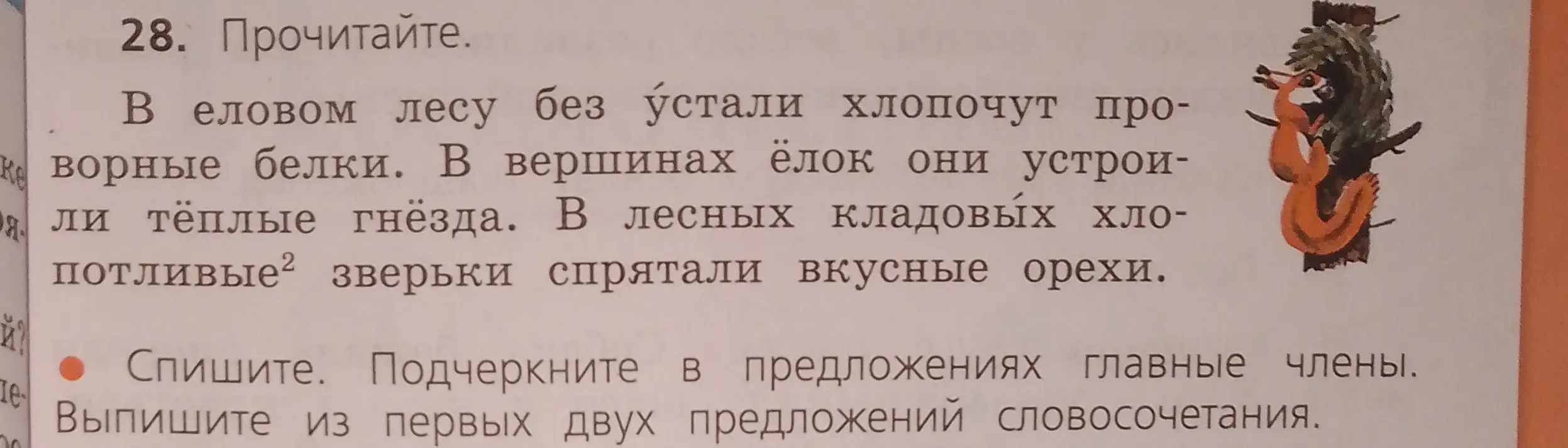 Прочитай текст. Спиши. Подчеркни в предложениях главные члены. Выпиши из первых двух предложений словосочетания.