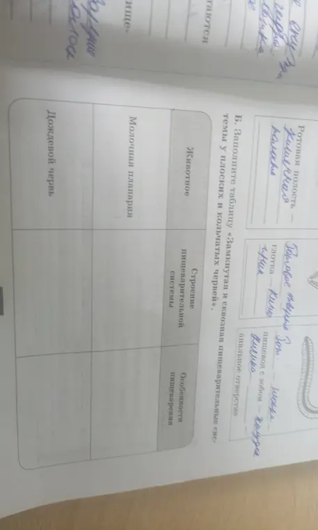 Заполни таблицу про пищеварительную систему у плоских и кольчатых червей