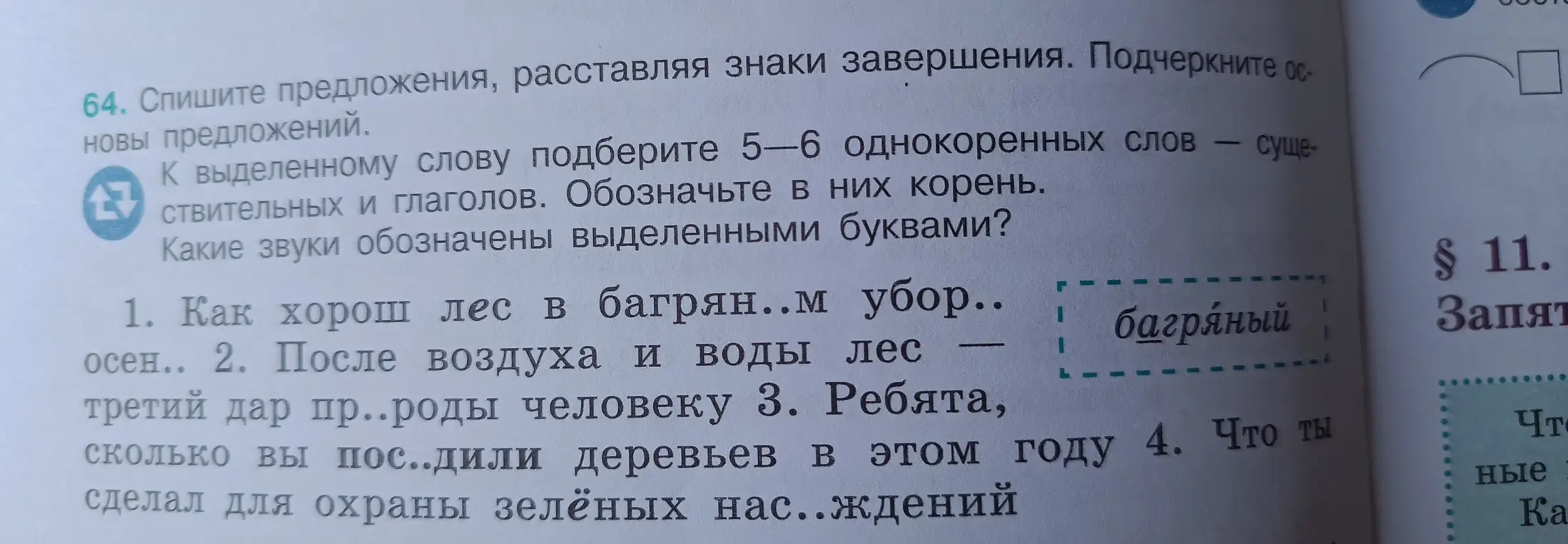 Помоги с упражнением: Спиши предложения, расставляя знаки завершения. Подчеркните основы предложений. К выделенному слову подберите 5—6 однокоренных слов – существительных и глаголов. Обозначьте в них корень. Какие звуки обозначены выделенными буквами?