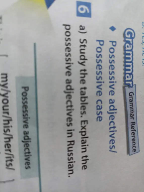 Объясни притяжательные прилагательные в русском языке