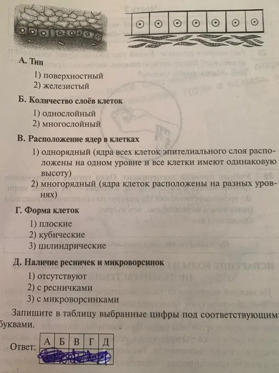 Можешь помочь мне записать в таблицу выбранные цифры под соответствующими буквами?