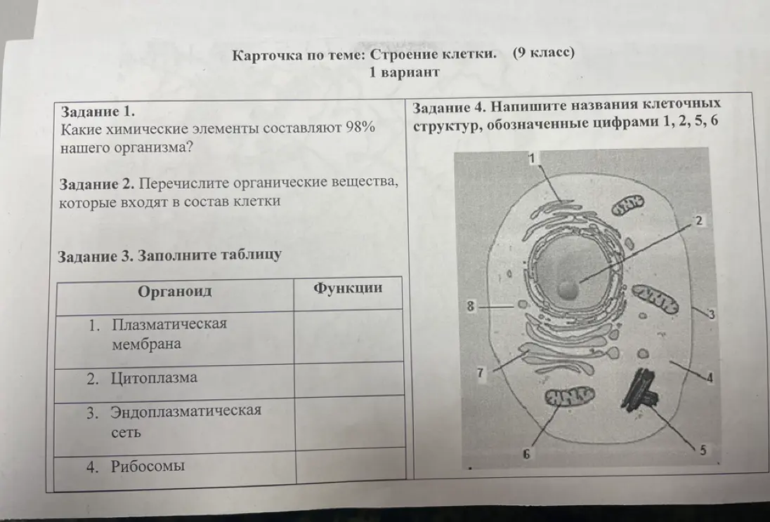 Какие химические элементы составляют 98% нашего организма?