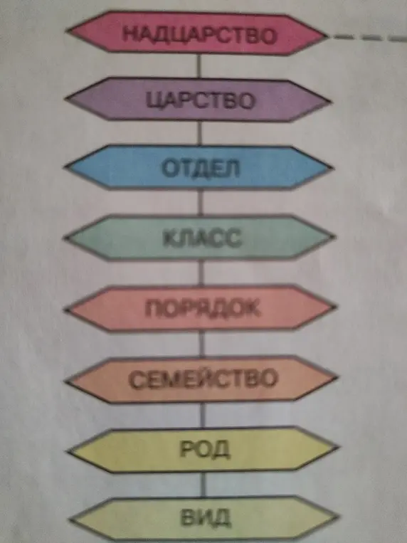 Ты просишь дать значение каждого слова на картинке