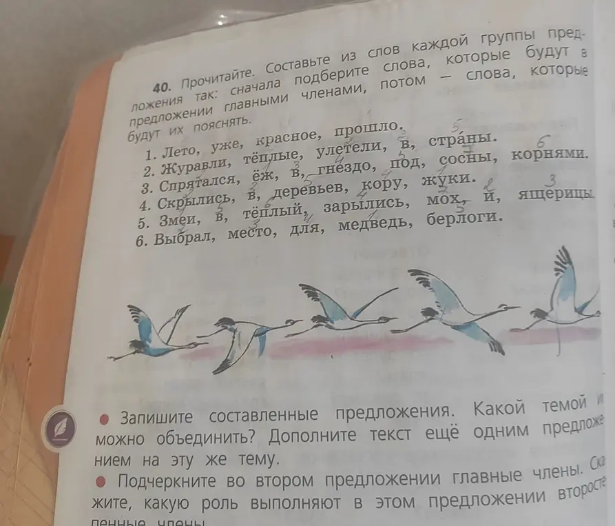 Составь предложения из слов каждой группы так, чтобы сначала шли главные члены, а потом слова, которые их поясняют, из первого задания.