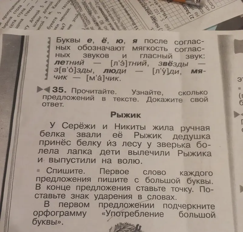 Определи, сколько предложений в тексте и выполни задание