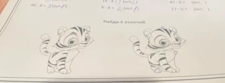 Можешь ли ты найти 6 отличий между двумя картинками с тигрятами?