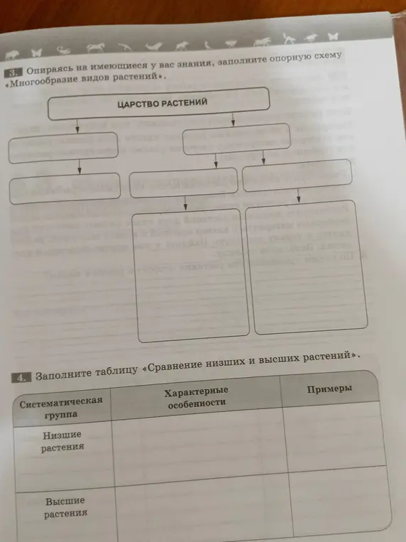 Заполни схему "Многообразие видов растений" и таблицу "Сравнение низших и высших растений"