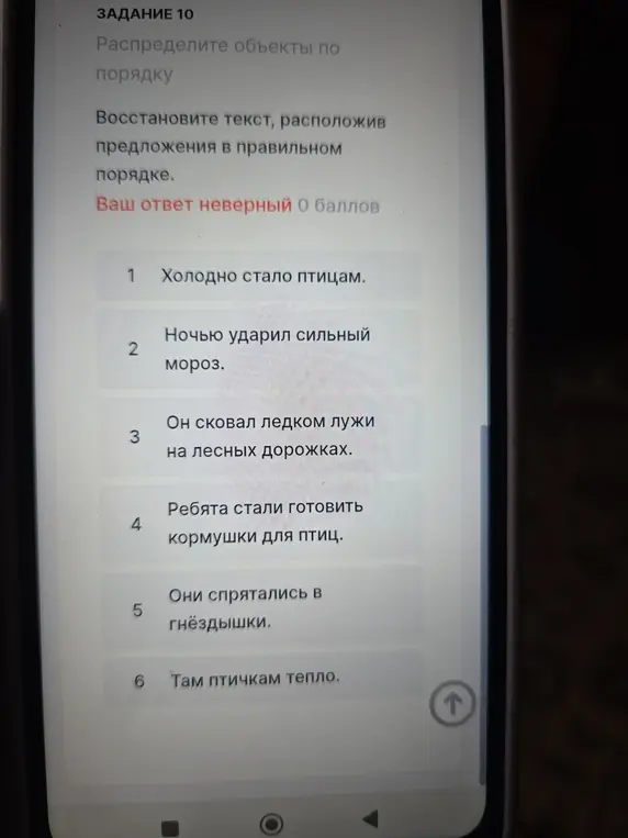 Расположи предложения в правильном порядке: Холодно стало птицам.