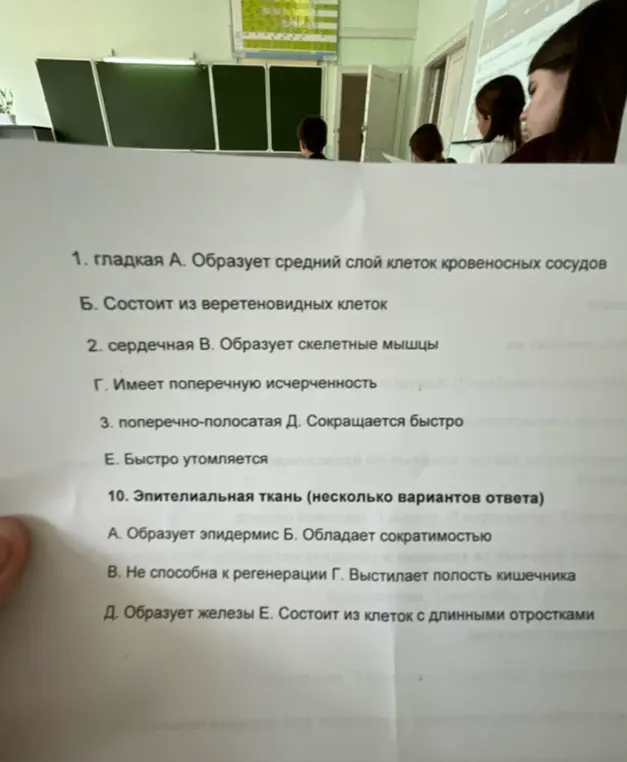 Помоги сопоставить типы тканей с их характеристиками в заданиях 1, 2, 3 и 10