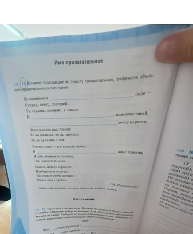 Вставь подходящие по смыслу прилагательные, графически объясните правописание их окончаний в стихотворении.