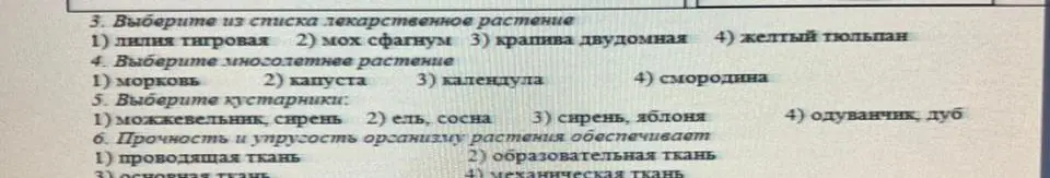 Выбери из списка лекарственное растение.