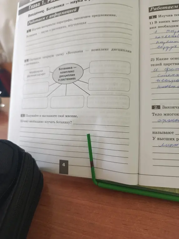 Составь опорную схему «Ботаника — комплекс дисциплин о растениях» и объясни, почему необходимо изучать ботанику.