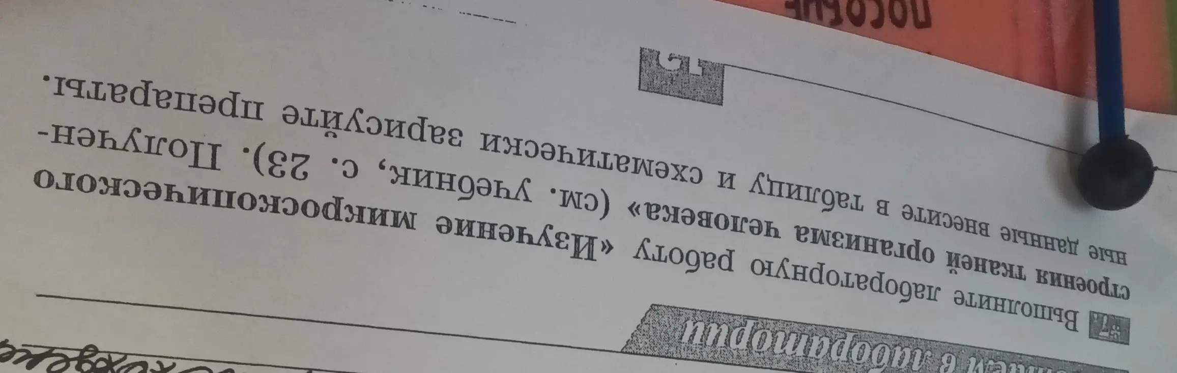 Ты просишь помочь с лабораторной работой по изучению микроскопического строения тканей организма человека