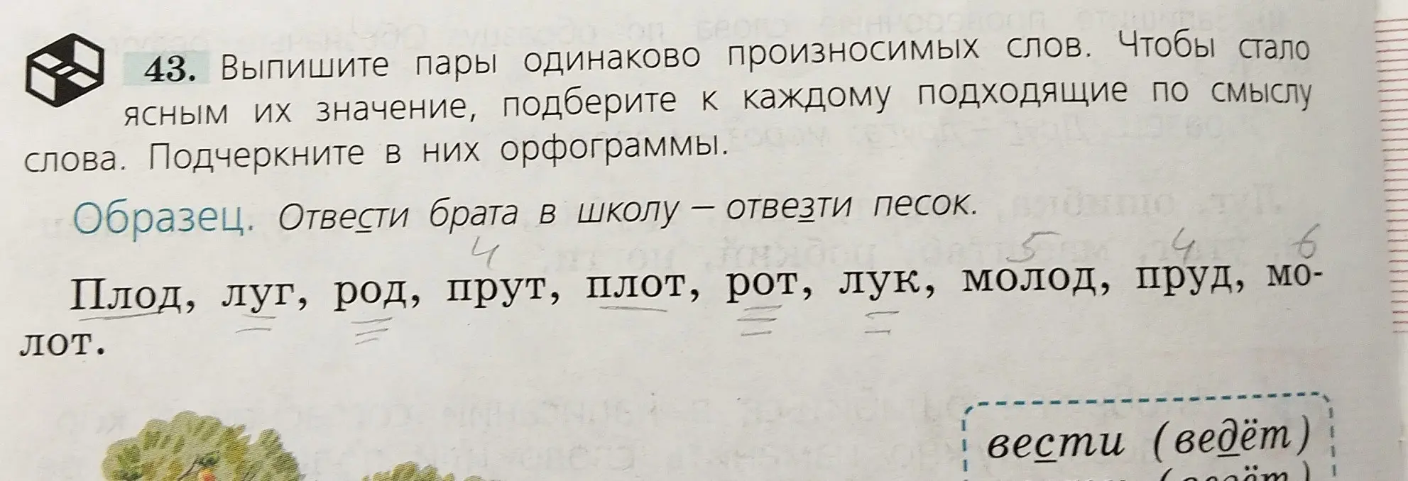 Напиши пары одинаково произносимых слов из списка: Плод, луг, род, прут, плот, рот, лук, молод, пруд, молот.