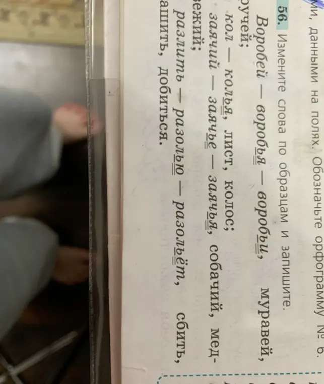 Измени слова: Воробей — воробья — воробьи, муравей, ручей