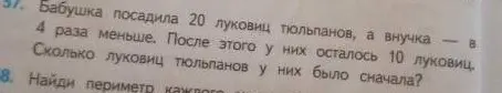 Помоги решить задачу: Бабушка посадила 20 луковиц тюльпанов, а внучка в 4 раза меньше. После этого у них осталось 10 луковиц. Сколько луковиц тюльпанов у них было сначала? Также, найди периметр каждого.