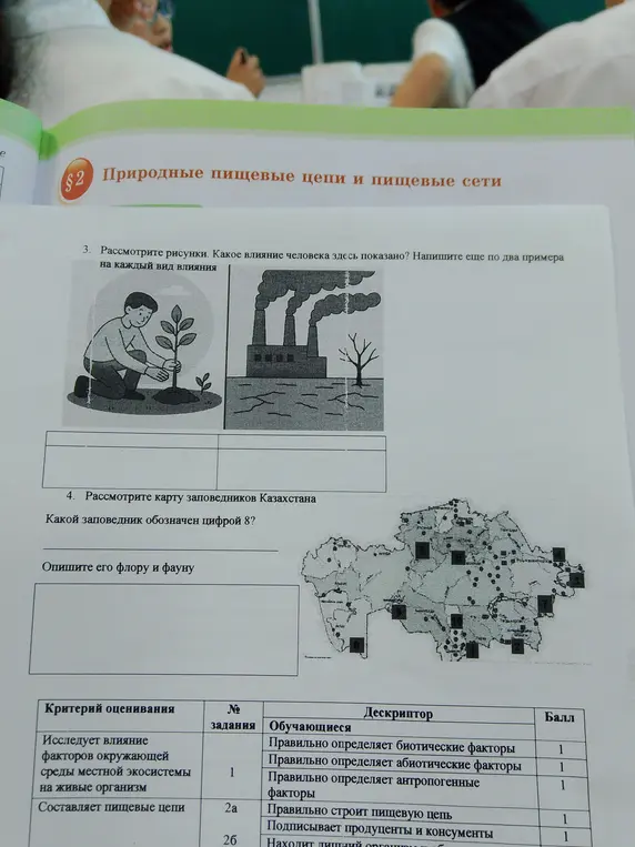 Рассмотри рисунки. Какое влияние человека здесь показано?