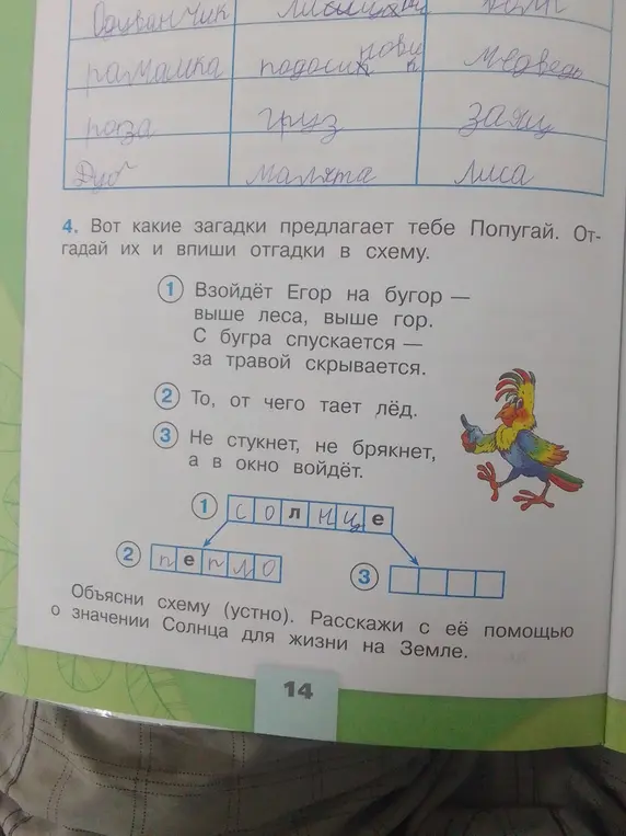 Помоги мне отгадать загадки и вписать отгадки в схему