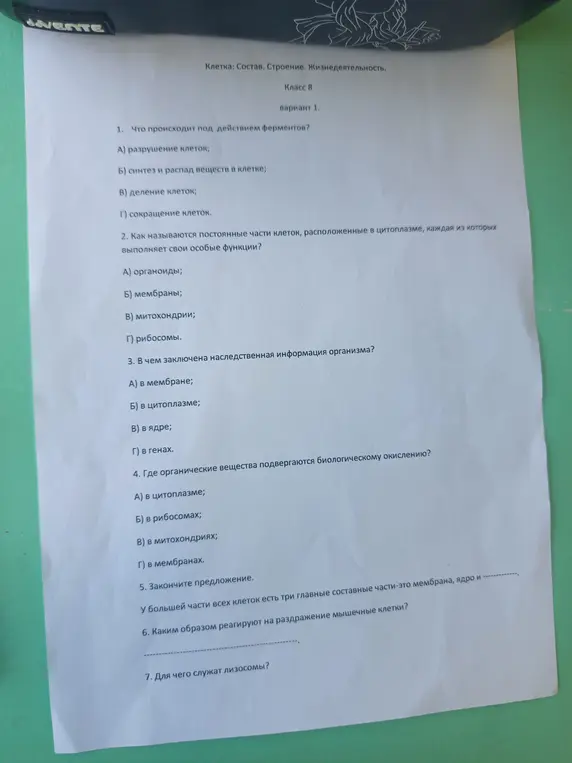 Что происходит под действием ферментов?