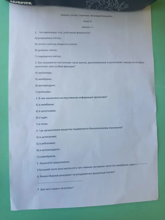 Что происходит под действием ферментов?