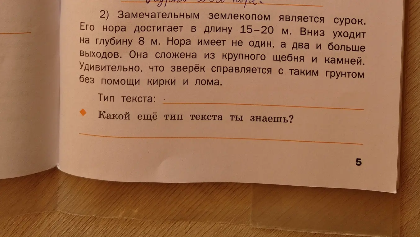 Какой тип текста в упражнении про сурка и какие ещё бывают типы текстов?