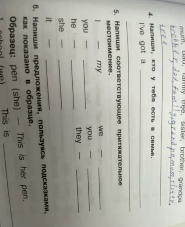 Составь предложения, используя подсказки, как показано в образце.