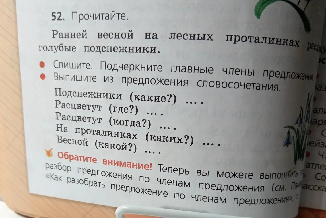 Ты просишь выписать из предложения словосочетания и подчеркнуть главные члены предложения.