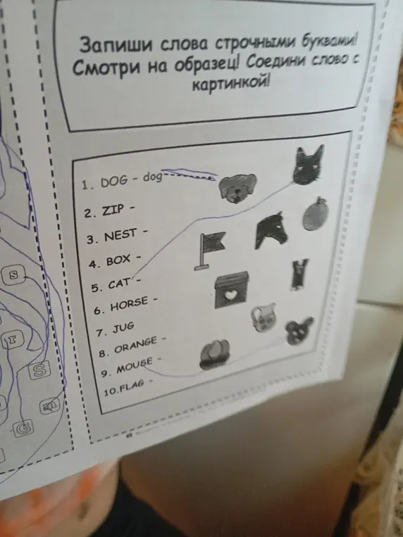 Напиши слова строчными буквами для слов ZIP, NEST, BOX, CAT, HORSE, JUG, ORANGE, MOUSE, FLAG
