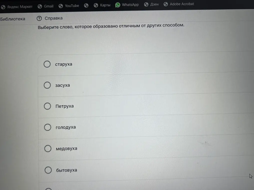 Выбери слово, которое образовано отличным от других способом (старуха).
