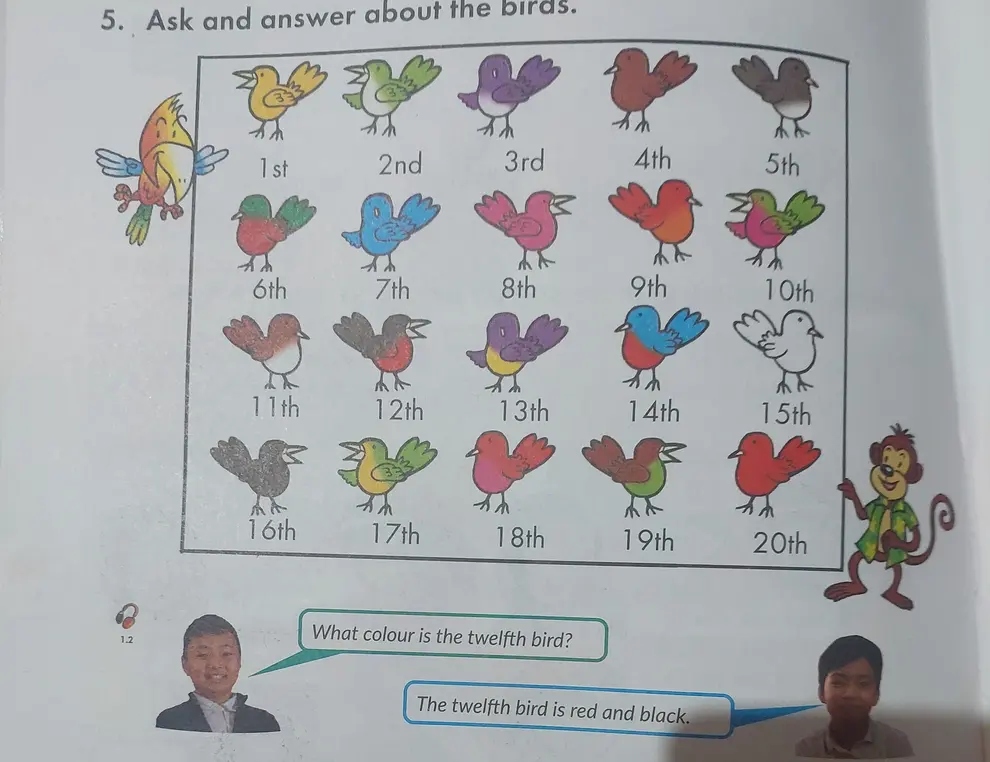 What colour is the twelfth bird?