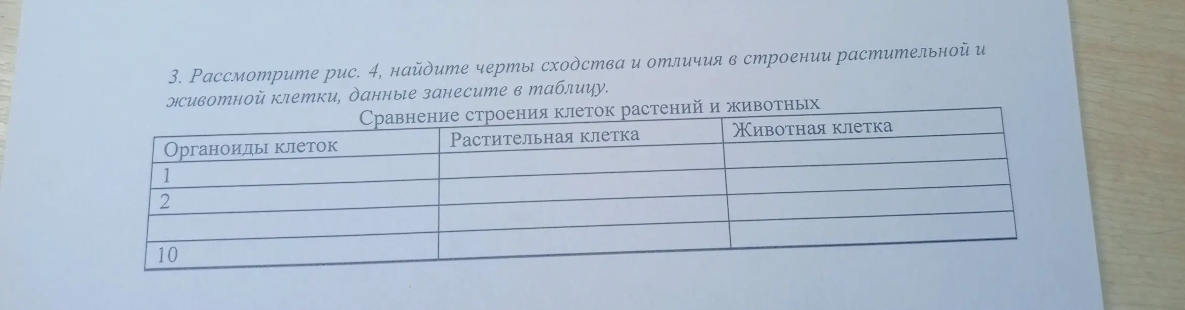 Помоги найти черты сходства и отличия в строении растительной и животной клетки и занеси данные в таблицу