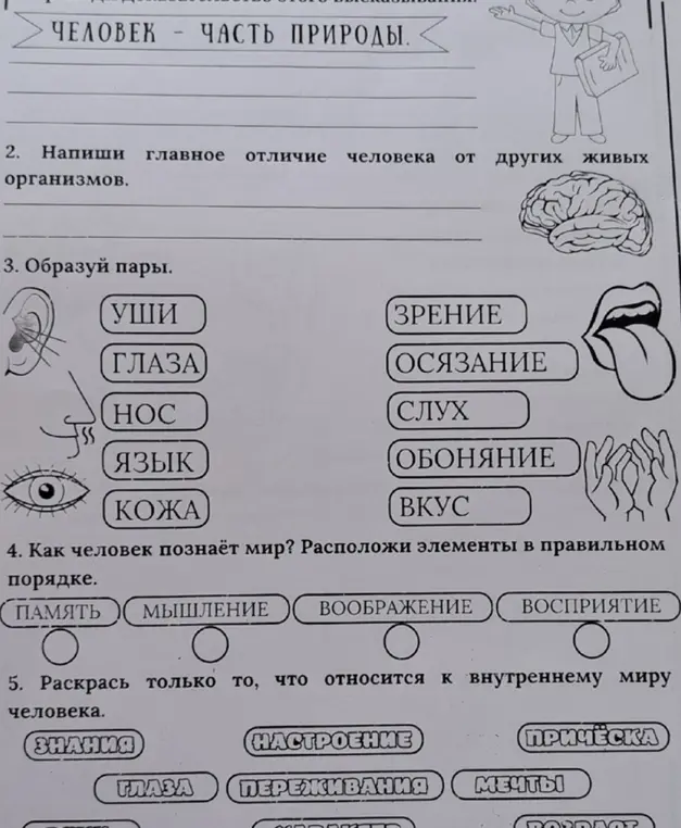 Как мне выполнить задания про отличия человека, органы чувств и внутренний мир?