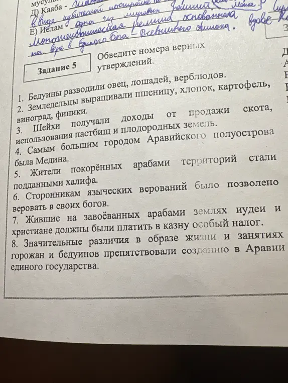 Обведи номера верных утверждений в задании про бедуинов и земледельцев.