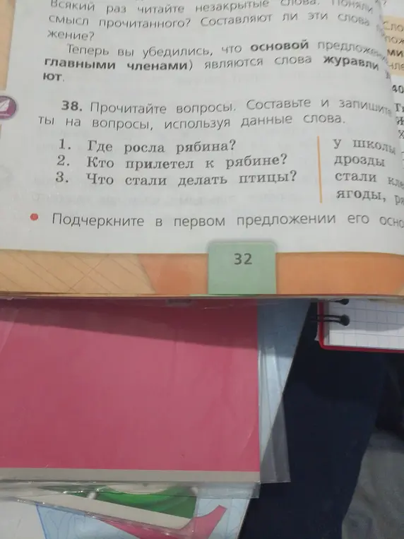 Помоги составить ответы на вопросы: 'Где росла рябина?'