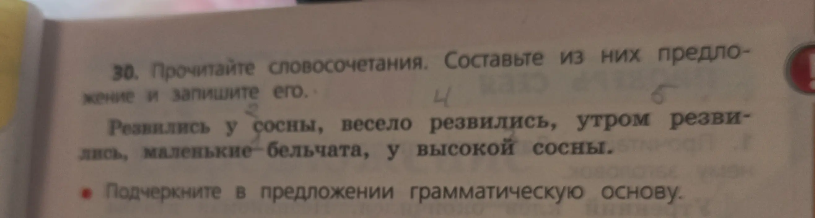 Составь предложение из словосочетаний: Резвились у сосны, весело резвились, утром резвились, маленькие-бельчата, у высокой сосны и подчеркни грамматическую основу в предложении.