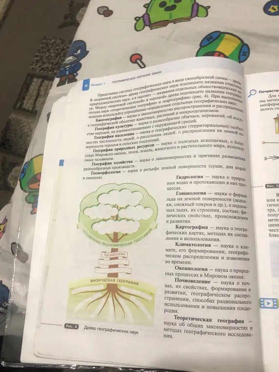 Расскажи подробнее про древо географических наук, что куда относится