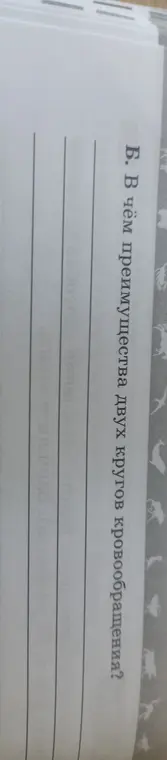 В чём преимущества двух кругов кровообращения?