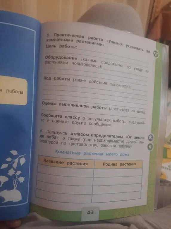 Заполни таблицу "Комнатные растения моего дома", указав название растения и его родину.