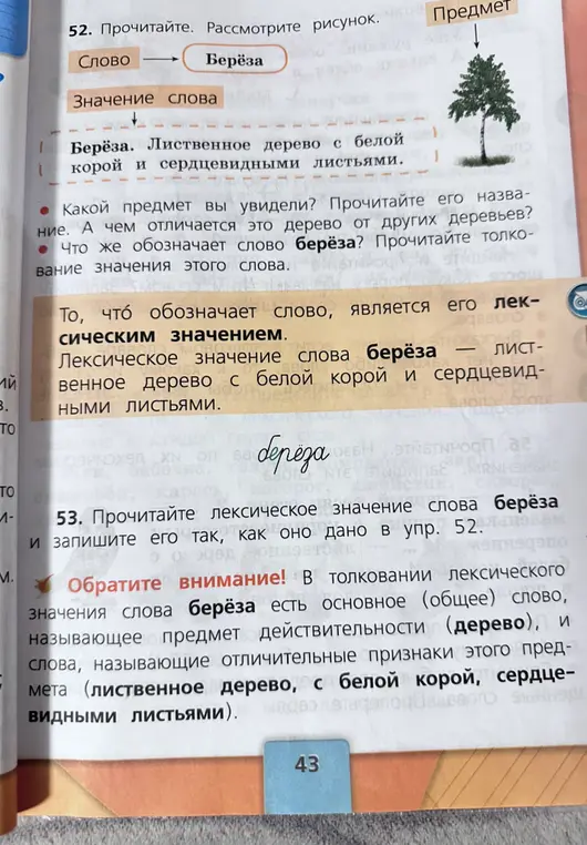 Запиши лексическое значение слова берёза, как оно дано в упр. 52