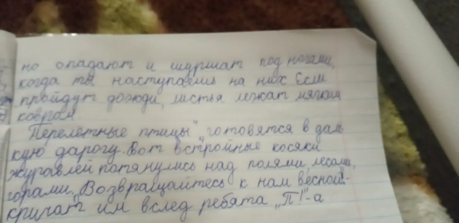 Разбери предложение, которое отмечено цифрой 4