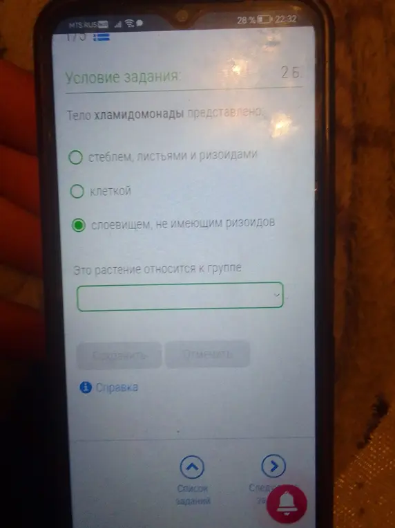 Определи, чем представлено тело хламидомонады и к какой группе относится это растение.