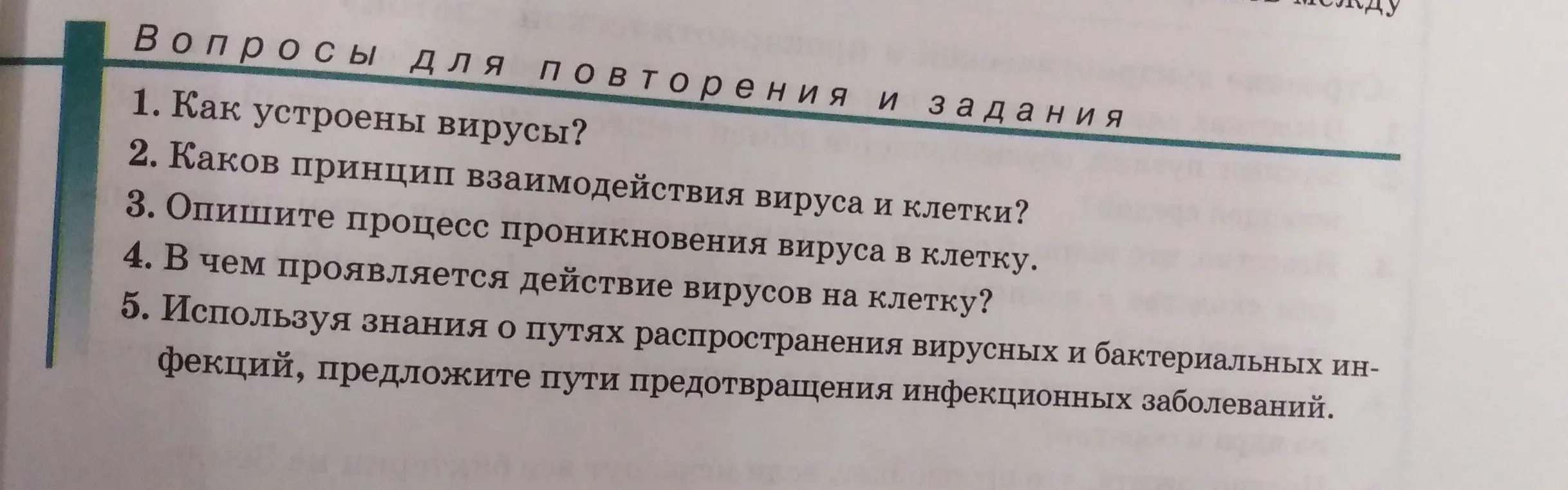 Как устроены вирусы?