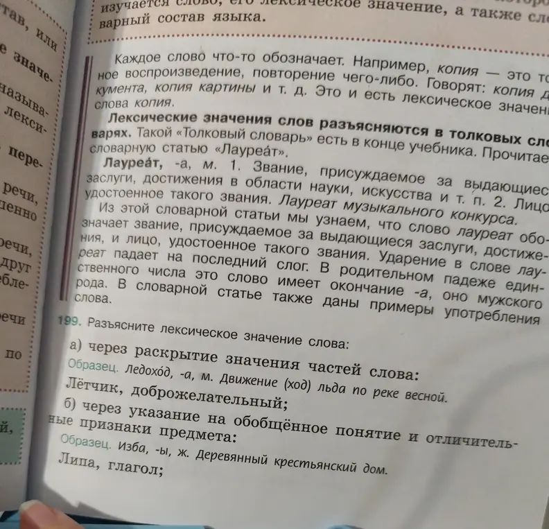 Разъясни лексическое значение слов: лётчик, доброжелательный, липа, глагол