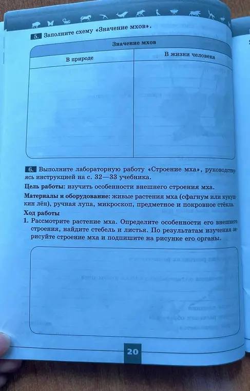 Заполни схему «Значение мхов» про значение мхов в природе и жизни человека