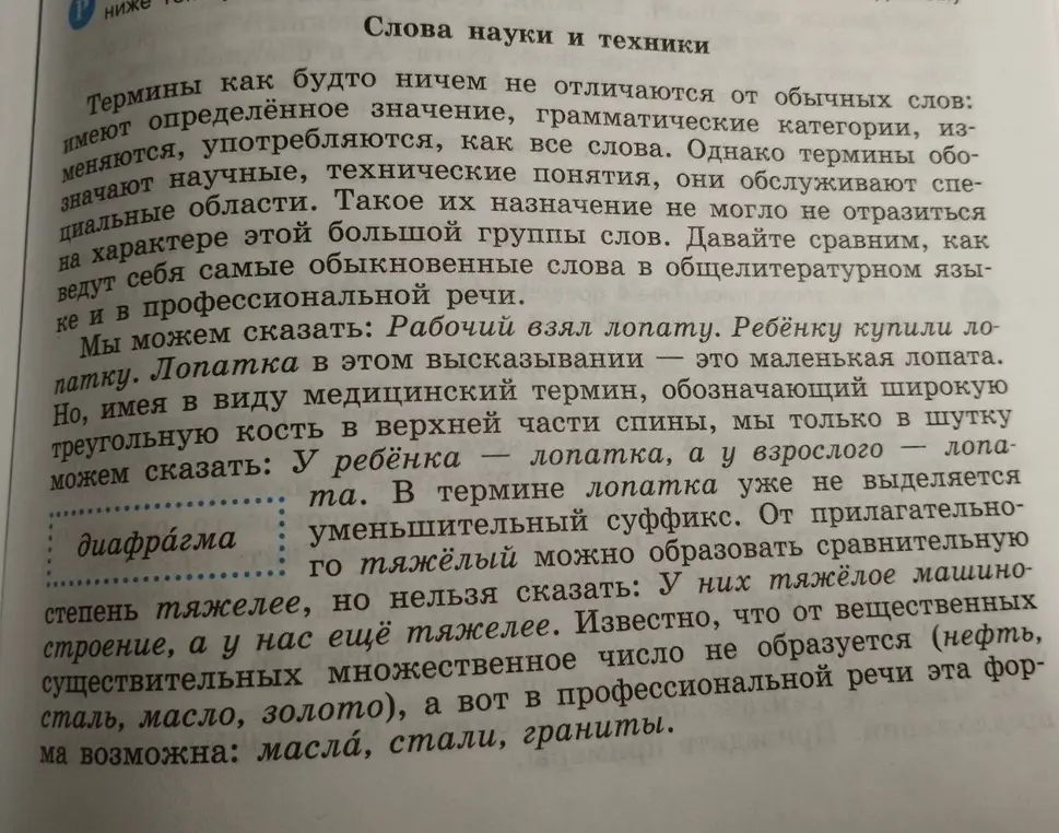 Напиши реферат на тему «Термины как слова науки и техники» с введением, основной частью, заключением и списком литературы со ссылкой на сайт.